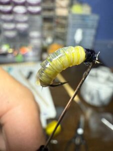 a613df6591f9a6460314123ffa6d7133